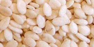 Sesame Seeds