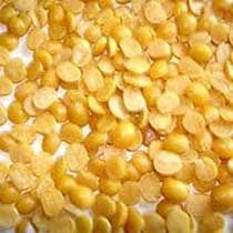Yellow Lentil