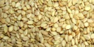Sesame Seeds