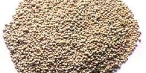 Micronutrient Fertilizers