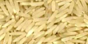 Basmati Rice