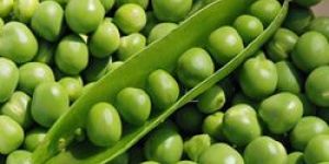 Frozen Green Peas