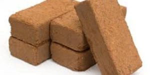 Coir Bricks