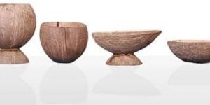 Coconut Shell Ice Cream Cup