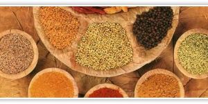 Food & Allied Products