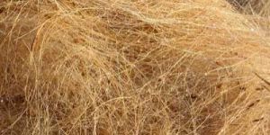 Coir Fibre