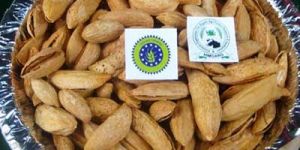 Almond Himoard Kagji Best Quality
