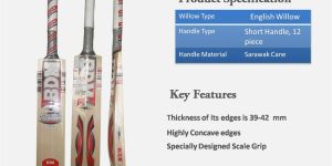 Cricket Bat - Master Blaster