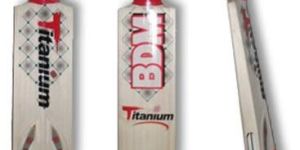 Cricket Bat