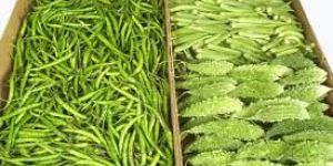 Indian Fresh Vegetables