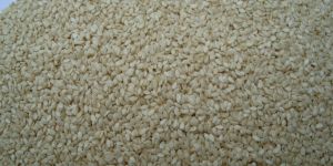 Sesame Seeds