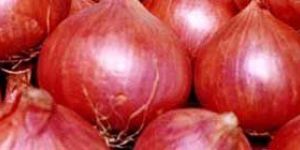 Red Onion