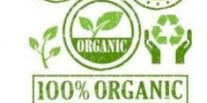Organic Certification in Delhi