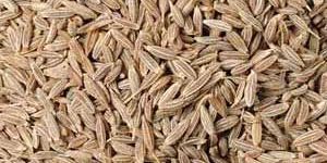 Cumin Seeds