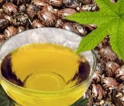Castor Oil