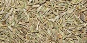 Cumin Seeds