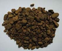 Mustard De-Oiled Cake