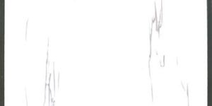 Polished Vitrified Tiles