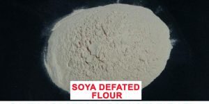 Defatted Soya Flour Toasted