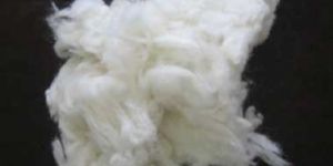 Wool Waste