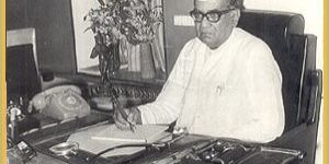 Ayurvedic Consultants