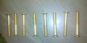 Brass Screws