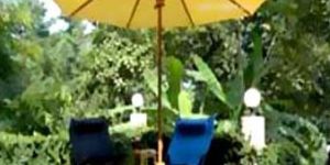 Garden Umbrella 04