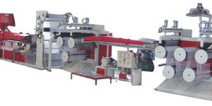 Polypropylene Raffia Plant For Bag