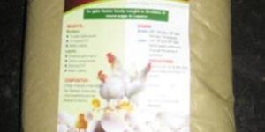 Poultry Feed Supplements