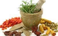 Ayurvedic Medicinal Herbs