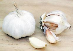 Garlic Extract