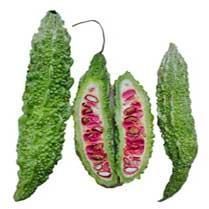 Bitter Gourd - 02