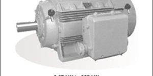 Energy Efficient Motors