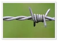 Barbed Wire