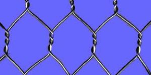 Hexagonal Wire Mesh