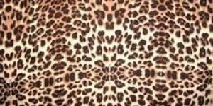 Rayon Printed Fabric