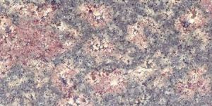 Bala Flower Granite Slabs