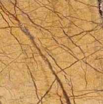 Rainforest Gold Marble Slabs