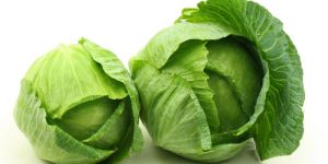 Fresh Cabbage