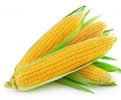Yellow Maize