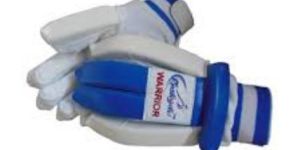 Prokyde Warrior Cricket Wicket Keeping Gloves