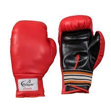 Red Prokyde Rookie Boxing Gloves (Size 16)