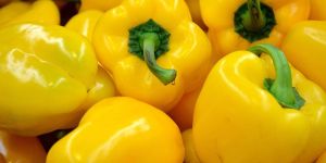 Fresh Yellow Capsicum
