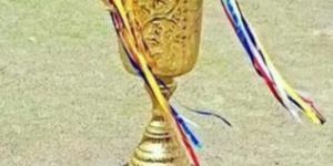Metal Award Cup