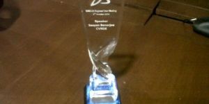 Plastic Acrylic Trophy