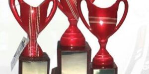 Soprts Trophy Cups