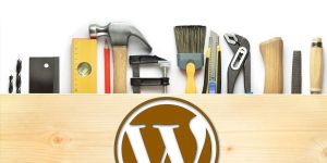 WordPress Development Company