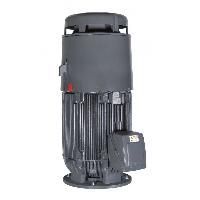 Vertical Motors