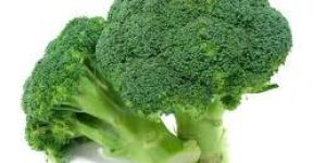 Fresh Broccoli