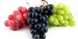 Fresh Grapes